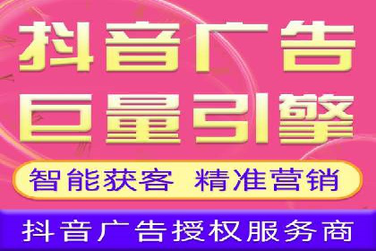 知名SEM公司案例分析：优化策略与成果